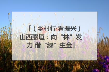 （乡村行·看振兴）山西襄垣：向“林”发力 借“绿”生金