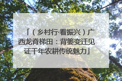 （乡村行·看振兴）广西龙脊梯田：背篓变迁见证千年农耕传统魅力