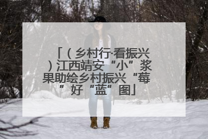 （乡村行·看振兴）江西靖安“小”浆果助绘乡村振兴“莓”好“蓝”图