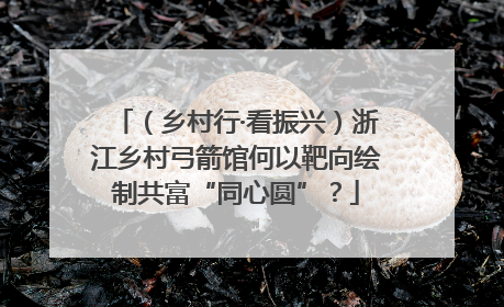 （乡村行·看振兴）浙江乡村弓箭馆何以靶向绘制共富“同心圆”？