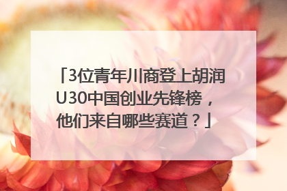3位青年川商登上胡润U30中国创业先锋榜，他们来自哪些赛道？