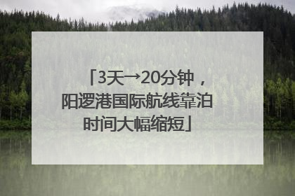 3天→20分钟，阳逻港国际航线靠泊时间大幅缩短