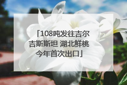 108吨发往吉尔吉斯斯坦 湖北鲜桃今年首次出口