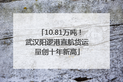 10.81万吨！武汉阳逻港直航货运量创十年新高