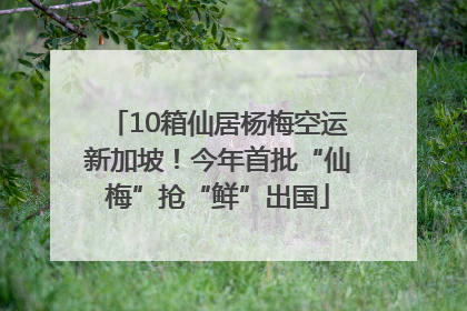 10箱仙居杨梅空运新加坡！今年首批“仙梅”抢“鲜”出国