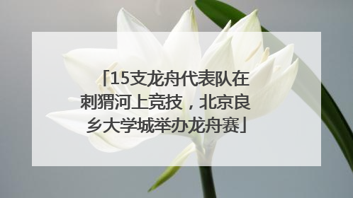 15支龙舟代表队在刺猬河上竞技,北京良乡大学城举办龙舟赛