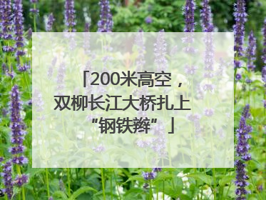 200米高空，双柳长江大桥扎上“钢铁辫”