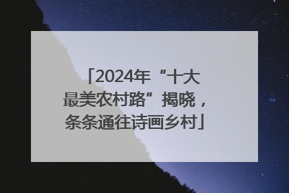 2024年“十大最美农村路”揭晓，条条通往诗画乡村