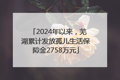 2024年以来，芜湖累计发放孤儿生活保障金2758万元