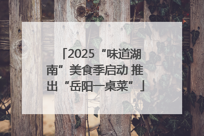 2025“味道湖南”美食季启动 推出“岳阳一桌菜”