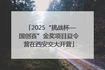 2025“挑战杯—国创赛”金奖项目夏令营在西安交大开营