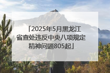 2025年5月黑龙江省查处违反中央八项规定精神问题805起