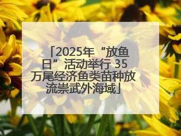 2025年“放鱼日”活动举行 35万尾经济鱼类苗种放流崇武外海域