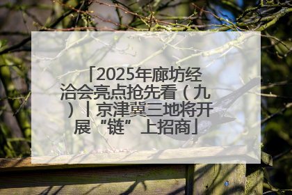 2025年廊坊经洽会亮点抢先看（九）丨京津冀三地将开展“链”上招商
