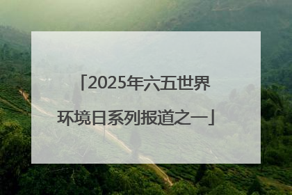 2025年六五世界环境日系列报道之一
