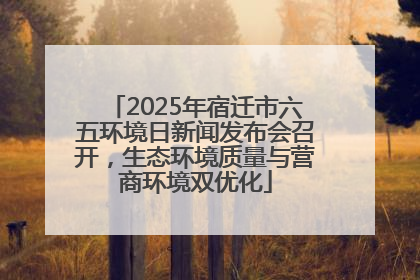 2025年宿迁市六五环境日新闻发布会召开，生态环境质量与营商环境双优化