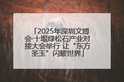 2025年深圳文博会·十堰绿松石产业对接大会举行 让“东方圣玉”闪耀世界