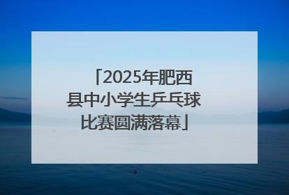 2025年肥西县中小学生乒乓球比赛圆满落幕