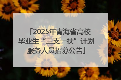 2025年青海省高校毕业生“三支一扶”计划服务人员招募公告
