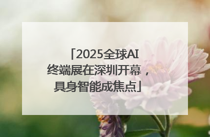 2025全球AI终端展在深圳开幕，具身智能成焦点