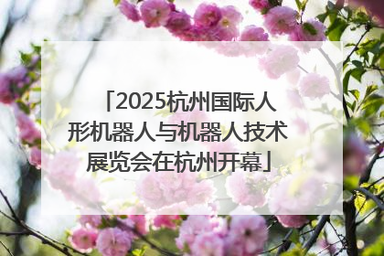 2025杭州国际人形机器人与机器人技术展览会在杭州开幕