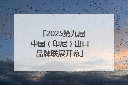 2025第九届中国（印尼）出口品牌联展开幕