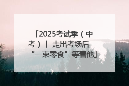 2025考试季（中考）丨 走出考场后 “一束零食”等着他
