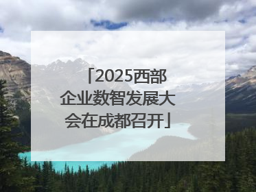 2025西部企业数智发展大会在成都召开