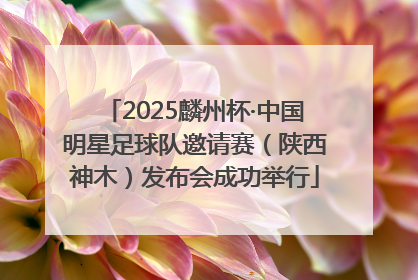 2025麟州杯·中国明星足球队邀请赛（陕西神木）发布会成功举行