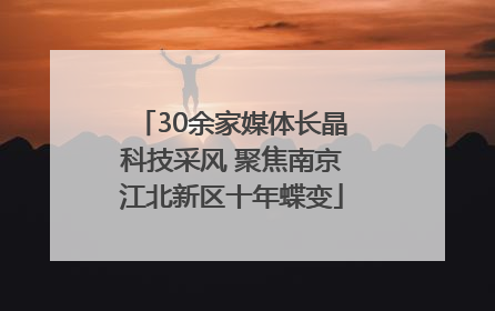 30余家媒体长晶科技采风 聚焦南京江北新区十年蝶变
