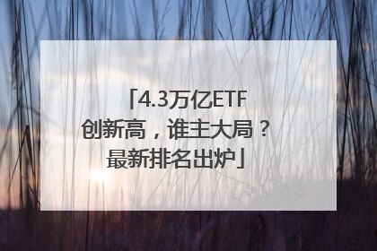 4.3万亿ETF创新高，谁主大局？最新排名出炉