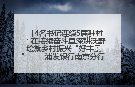 4名书记连续5届驻村：在接续奋斗里深耕沃野 绘就乡村振兴“好丰景”——浦发银行南京分行助力脱贫攻坚、帮促乡村振兴记事（二）