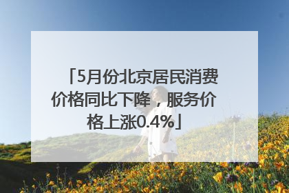 5月份北京居民消费价格同比下降，服务价格上涨0.4%
