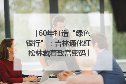 60年打造“绿色银行”：吉林通化红松林藏着致富密码