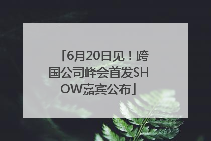 6月20日见！跨国公司峰会首发SHOW嘉宾公布