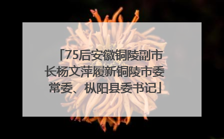 75后安徽铜陵副市长杨文萍履新铜陵市委常委、枞阳县委书记