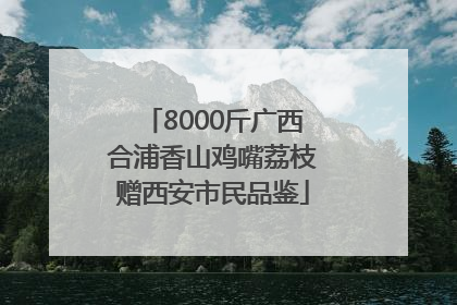 8000斤广西合浦香山鸡嘴荔枝赠西安市民品鉴