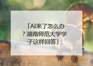 AI来了怎么办？湖南师范大学学子这样回答