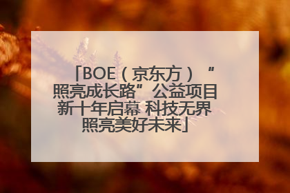 BOE（京东方）“照亮成长路”公益项目新十年启幕 科技无界照亮美好未来
