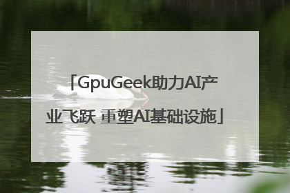 GpuGeek助力AI产业飞跃 重塑AI基础设施