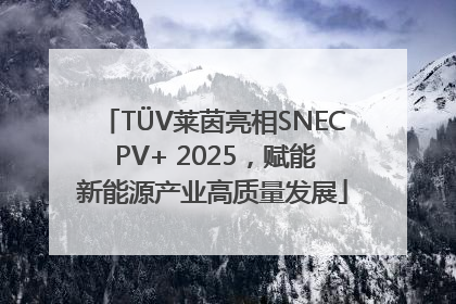 TÜV莱茵亮相SNEC PV+ 2025，赋能新能源产业高质量发展