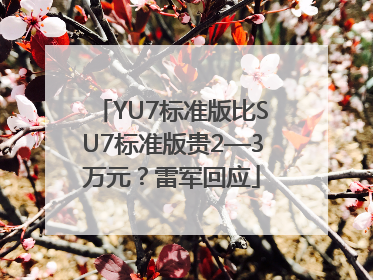 YU7标准版比SU7标准版贵2—3万元？雷军回应